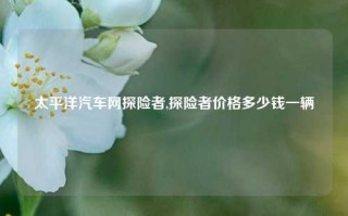 太平洋汽车网探险者,探险者价格多少钱一辆