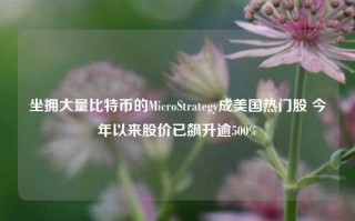 坐拥大量比特币的MicroStrategy成美国热门股 今年以来股价已飙升逾500%