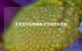 太平洋汽车网殷雨,太平洋汽车总裁