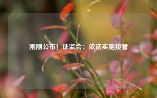 刚刚公布！证监会：依法实施接管