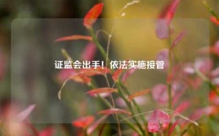 证监会出手！依法实施接管