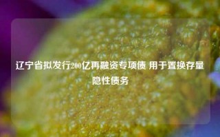 辽宁省拟发行200亿再融资专项债 用于置换存量隐性债务