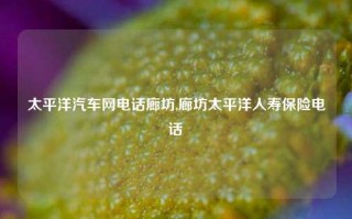 太平洋汽车网电话廊坊,廊坊太平洋人寿保险电话