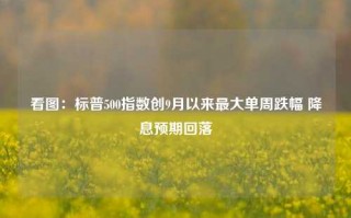 看图：标普500指数创9月以来最大单周跌幅 降息预期回落