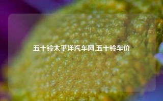 五十铃太平洋汽车网,五十铃车价