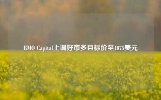 BMO Capital上调好市多目标价至1075美元