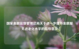 国家金融监督管理总局关于进一步提升金融服务适老化水平的指导意见