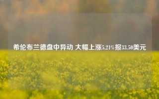 希伦布兰德盘中异动 大幅上涨5.21%报33.50美元