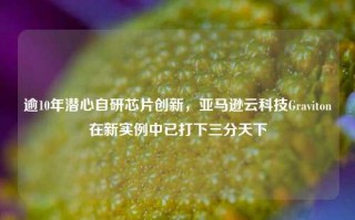 逾10年潜心自研芯片创新，亚马逊云科技Graviton在新实例中已打下三分天下