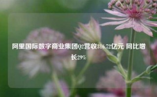 阿里国际数字商业集团Q2营收316.72亿元 同比增长29%