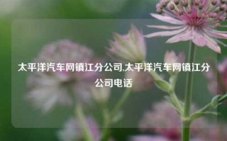 太平洋汽车网镇江分公司,太平洋汽车网镇江分公司电话