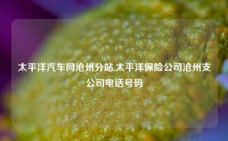 太平洋汽车网沧州分站,太平洋保险公司沧州支公司电话号码