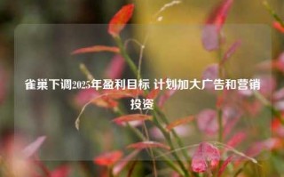 雀巢下调2025年盈利目标 计划加大广告和营销投资