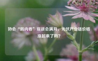 协会“防内卷”座谈会满月，光伏产业链价格涨起来了吗？