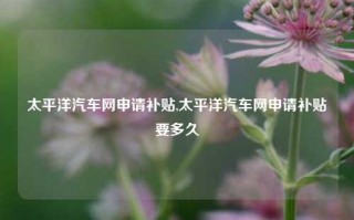 太平洋汽车网申请补贴,太平洋汽车网申请补贴要多久