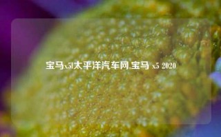 宝马x5l太平洋汽车网,宝马 x5 2020