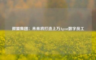 微盟集团：未来将打造上万Agent数字员工