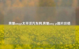 奔驰amggt太平洋汽车网,奔驰amg gt图片价格