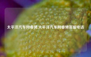 太平洋汽车网睿骋,太平洋汽车网睿骋客服电话