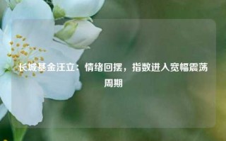 长城基金汪立：情绪回摆，指数进入宽幅震荡周期