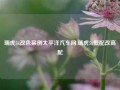 瑞虎5x改色案例太平洋汽车网,瑞虎5x低配改高配