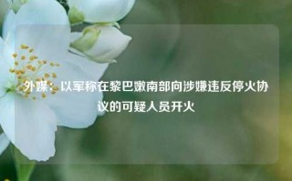 外媒：以军称在黎巴嫩南部向涉嫌违反停火协议的可疑人员开火