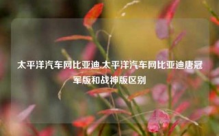 太平洋汽车网比亚迪,太平洋汽车网比亚迪唐冠军版和战神版区别