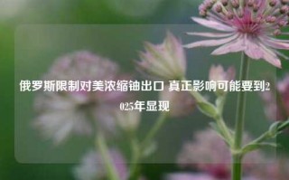 俄罗斯限制对美浓缩铀出口 真正影响可能要到2025年显现