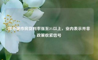 部分城市房贷利率涨至3%以上，业内表示并非政策收紧信号