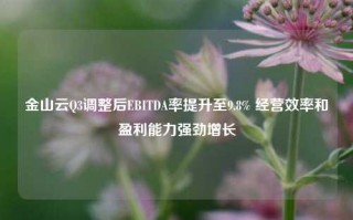 金山云Q3调整后EBITDA率提升至9.8% 经营效率和盈利能力强劲增长