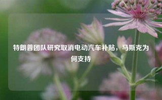 特朗普团队研究取消电动汽车补贴，马斯克为何支持