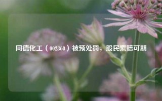 同德化工（002360）被预处罚，股民索赔可期