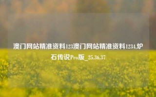 澳门网站精准资料123澳门网站精准资料1234,炉石传说Pro版_25.36.37