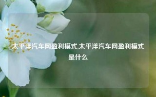 太平洋汽车网盈利模式,太平洋汽车网盈利模式是什么