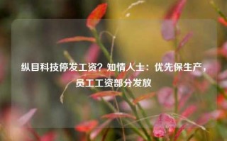 纵目科技停发工资？知情人士：优先保生产，员工工资部分发放