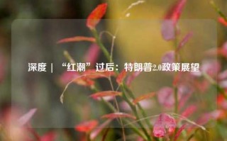 深度 | “红潮”过后：特朗普2.0政策展望