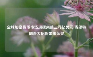 全球加密货币市场规模突破三万亿美元 寄望特朗普大招将带来荣景