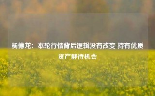 杨德龙：本轮行情背后逻辑没有改变 持有优质资产静待机会