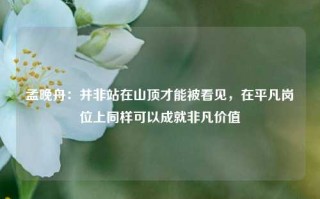 孟晚舟：并非站在山顶才能被看见，在平凡岗位上同样可以成就非凡价值