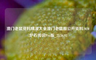 澳门老鼠资料精准大全澳门老鼠报公开资料2020,炉石传说Pro版_25.36.93