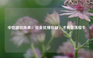 中信建投陈果：资金犹豫怀疑，才有震荡慢牛