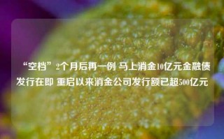 “空档”2个月后再一例 马上消金10亿元金融债发行在即 重启以来消金公司发行额已超500亿元