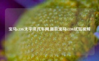 宝马x330i太平洋汽车网,新款宝马x330i试驾视频