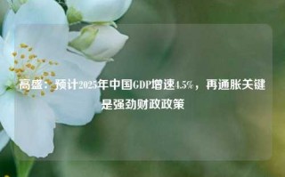 高盛：预计2025年中国GDP增速4.5%，再通胀关键是强劲财政政策