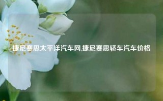 捷尼赛思太平洋汽车网,捷尼赛思轿车汽车价格