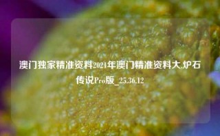 澳门独家精准资料2021年澳门精准资料大,炉石传说Pro版_25.36.12