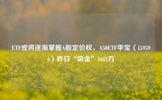 ETF或将逐渐掌握A股定价权，A50ETF华宝（159596）昨日“吸金”1682万