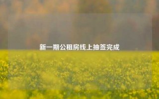 新一期公租房线上抽签完成