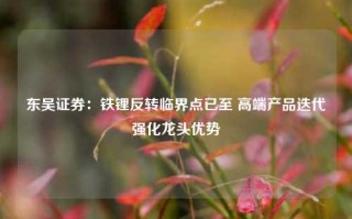 东吴证券：铁锂反转临界点已至 高端产品迭代强化龙头优势