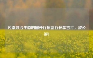 污染政治生态的国开行原副行长李吉平，被公诉！